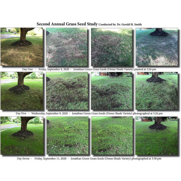 Grass Seed Enhancement Card - Image 4
