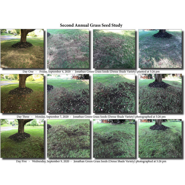 Grass Seed Enhancement Card - Image 3
