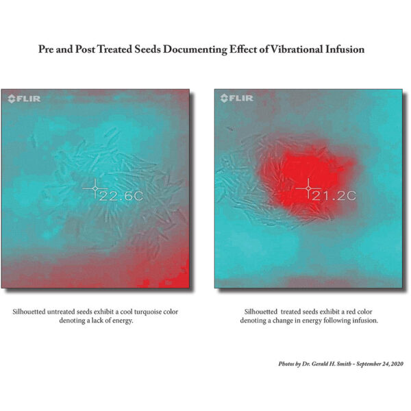 Grass Seed Enhancement Card - Image 2