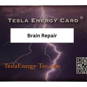 Brain Repair