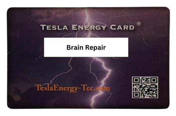 Brain Repair