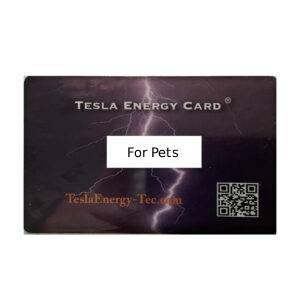Custom Tesla Energy Cards® for Pets